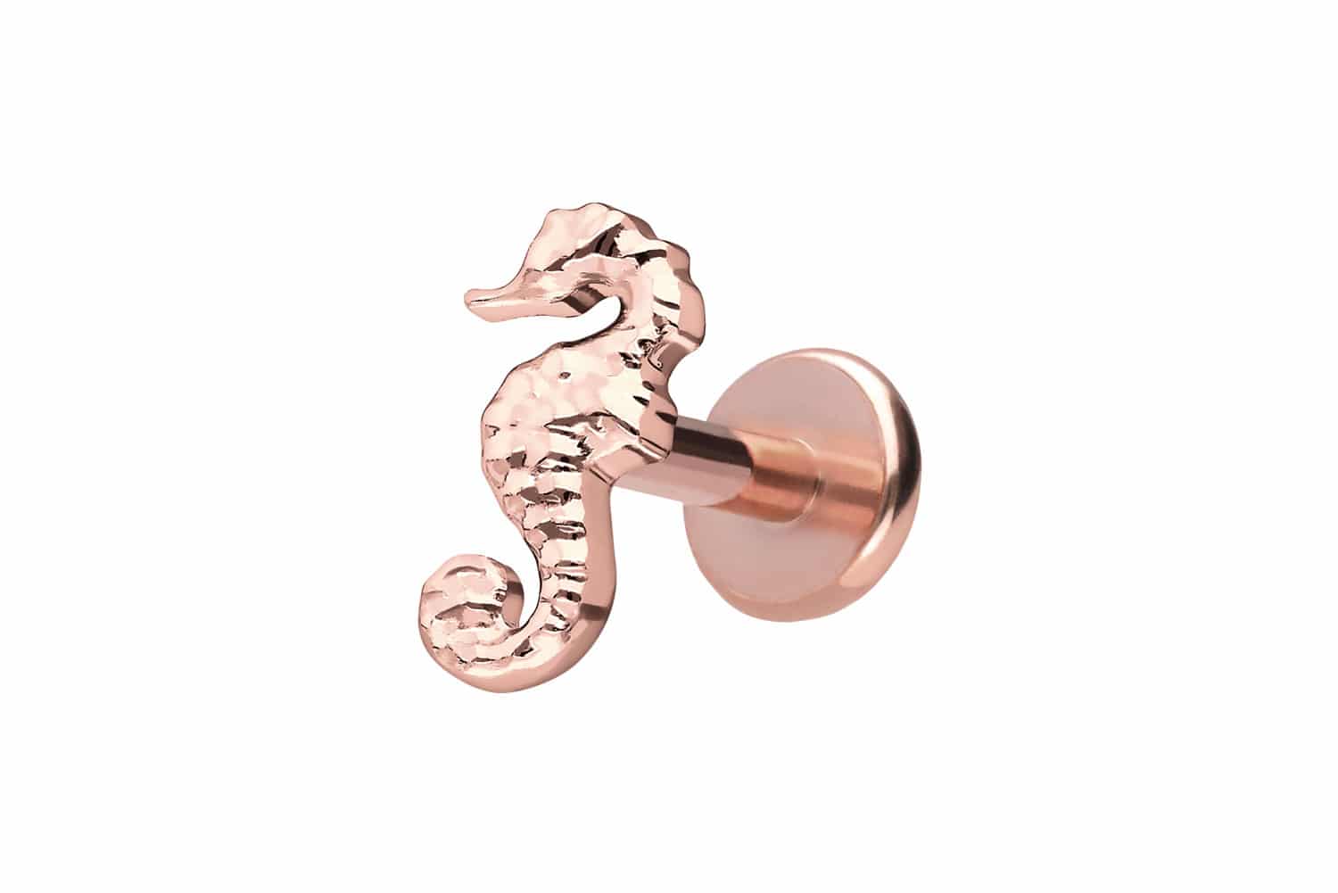 Titan Labret Piercing mit Push Fit SEEPFERDCHEN